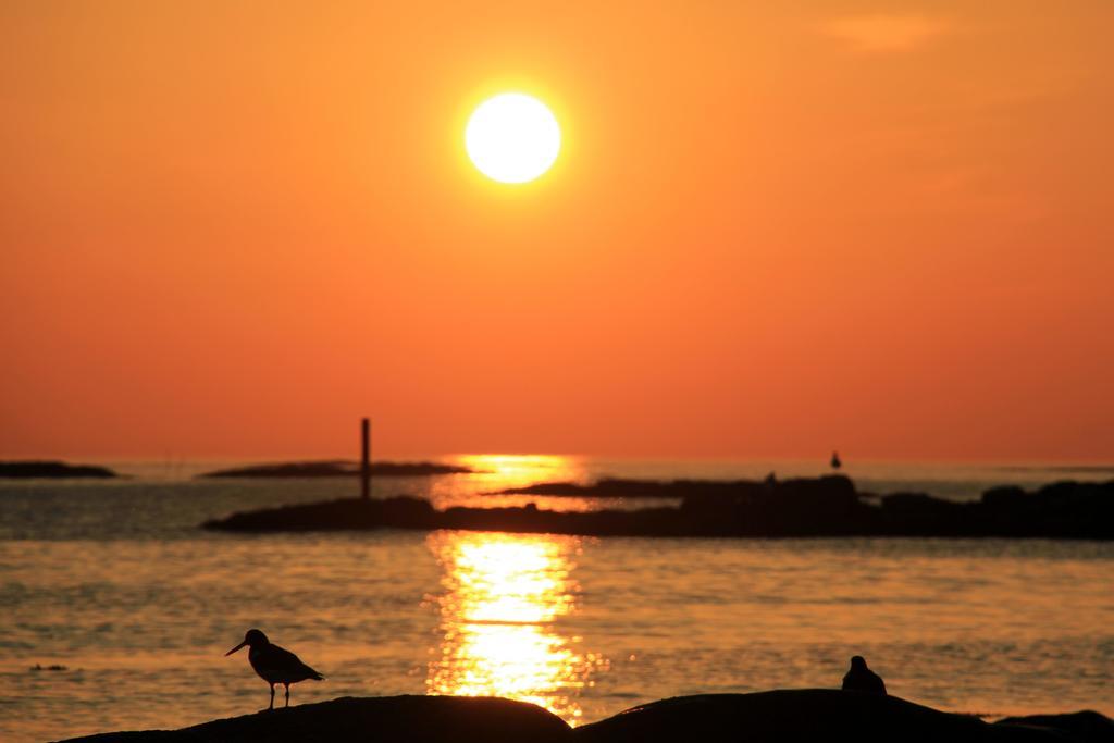 Midnattsol Rom Og Hytter Bleik Bagian luar foto